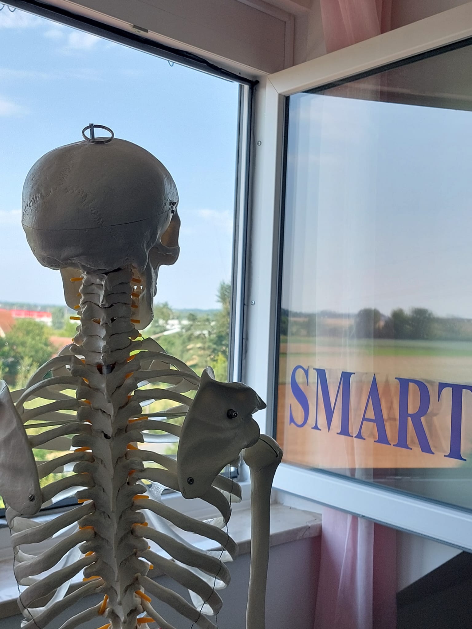 Die Blankoverordnung ab 01.11.2024 auch bei Smart Physiotherapie. Bei uns wird Ihnen individuell geholfen! Vereinbaren Sie noch heute Ihren Termin für Manuelle Therapie (MT), Krankengymnastik am Gerät (KGG), CMD (Kiefergelenksbehandlung), Krankengymnastik (KG) und vieles mehr.